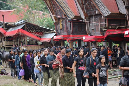 TANA TORAJA, INDONESIA - JULY 3 2012: People procession at a traditional funeral ceremony, with typical tongkonan house in the backgroundのeditorial素材