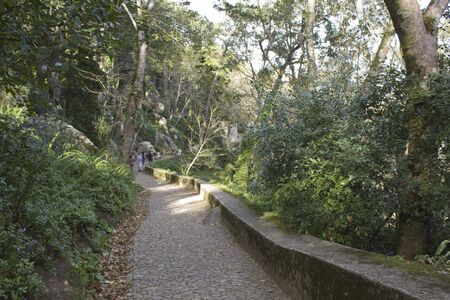 The path to go to Moors Castle in Sintra, Portugal, surrounded by trees and natureのeditorial素材