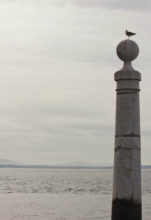 Bird on Columns Wharf in Lisbon, Portugal, with Tagus river behindのeditorial素材