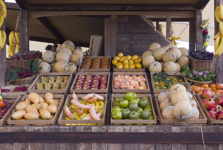 MILAN, ITALY - JUNE 29 2015: False fruit and vegetable in a stall at Expo 2015 in Milanのeditorial素材