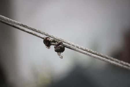 Close up of a rusty clothesline
