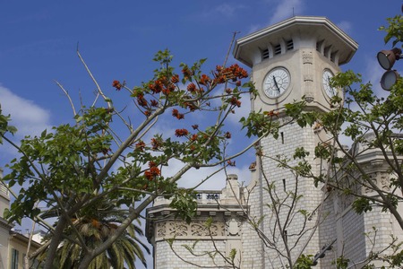 NICE, FRANCE - APRIL 23 2017: Historic lycee Massena in Nice, France, with a colorful tree in the foregroundのeditorial素材
