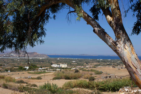 NAXOS, GREECE - AUGUST 16 2016: View of Chora city and the harbor of Naxos, Greeceのeditorial素材