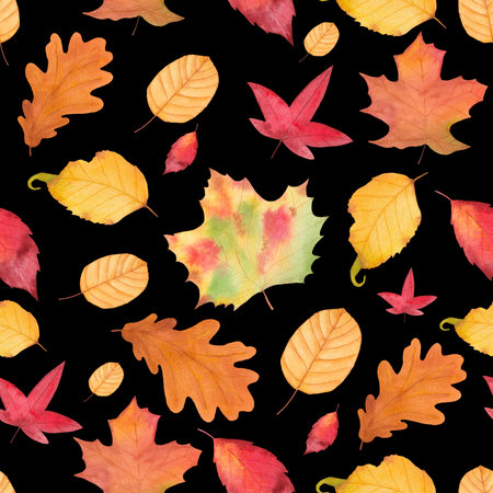 Watercolor Autumn Fall Seamless Pattern. Leaf Pattern. Botanical illustration. October print. Design for tiles, backgrounds, fabric, textile, wrapping paper. Autumn leaves. Natural print.の写真素材