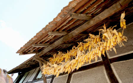 corn hanging on the roof of a country houseの写真素材
