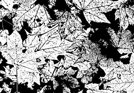 black and white leaves textureの写真素材