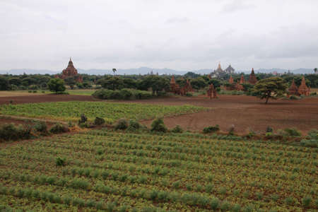 Bagan valley with ancient holy temples, Myanmarの写真素材