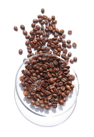 coffee beans on transparent small plateの写真素材