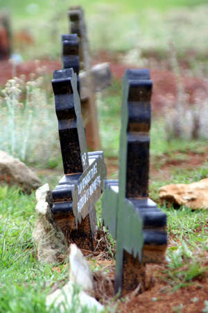 crosses in cemeteryの写真素材