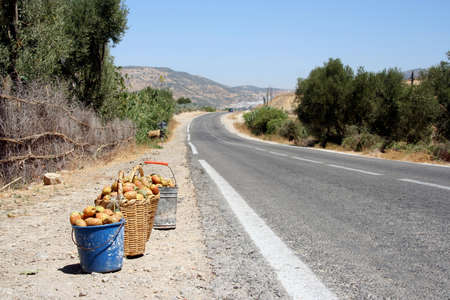 road in Morocco with basket of prickly pearsの写真素材