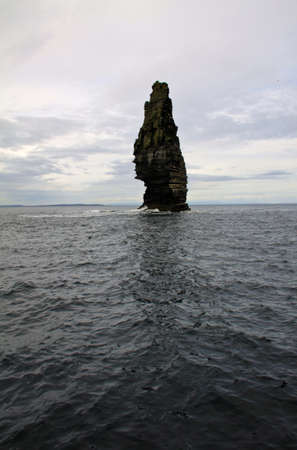 Cliffs of Moher reef detail, Irelandの写真素材