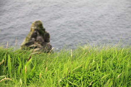 Green grass on the Cliffs of Moher, Irelandの写真素材
