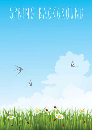 vertical blue gradient sky and green grass spring backgroundのイラスト素材