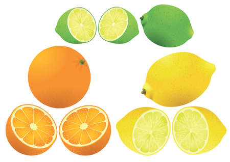 Set of three different citrus fruits vector illustration.のイラスト素材