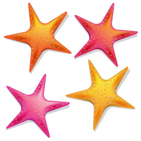 set of four colored starfishesのイラスト素材