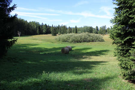 natural landscape with hay bales in Folgaria, Trento province, Italyの写真素材