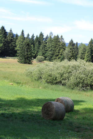 hay bales in mountain, country near Folgaria, Trentino, Italyの写真素材