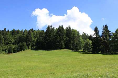 Blue sky and green meadow in a natural landscape of Folgaria upland, Trentino, Italyの写真素材
