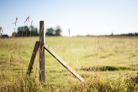 Early summer morning sunrise in the countrysideの写真素材