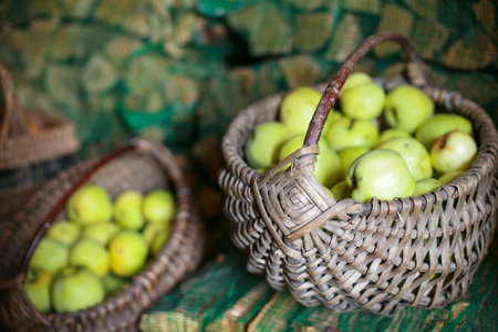 Wicker baskets full of fresh green applesの写真素材