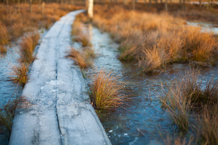 Cold winter sunset background of a bog landscape with a wooden boardwalk heading over frozen waterの写真素材