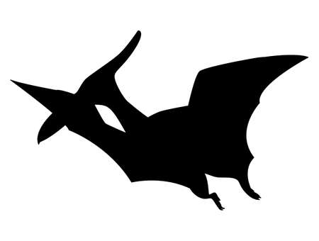 Pteroductylus silhouette isolated on white background. Vector illustration.のイラスト素材