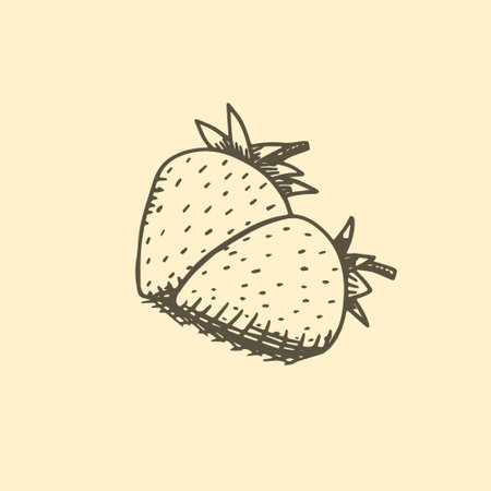 Strawberry hand drawn sketch vector illustration.のイラスト素材