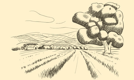 Rural landscape, hand drawn sketch vector illustration.のイラスト素材