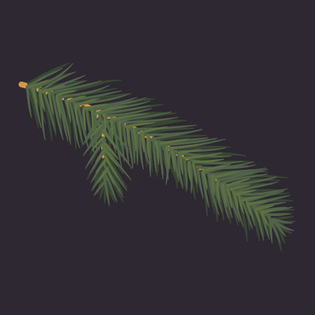 Fir branch, isolated vector illustration.のイラスト素材