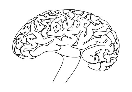 The human brain. One line drawing, vector illustration.のイラスト素材