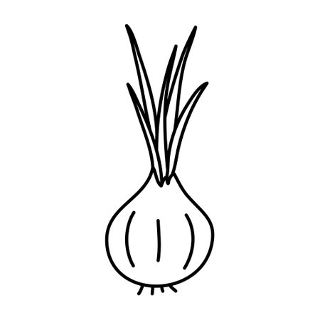 Doodle picture of onion, hand drawn vector illustration.のイラスト素材
