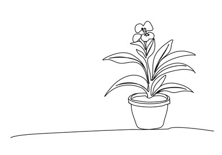 Houseplant, one line drawing vector illustration.のイラスト素材
