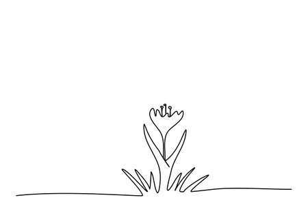 Flower one line drawing vector illustration.のイラスト素材