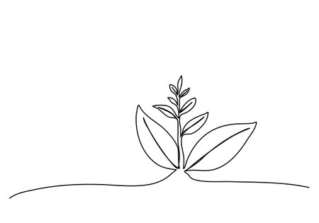 Sprout one line drawing Sprout, one line drawing vector illustration.のイラスト素材