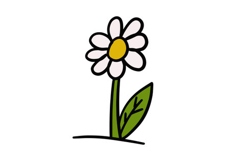 Doodle, vector illustration of a flower.のイラスト素材