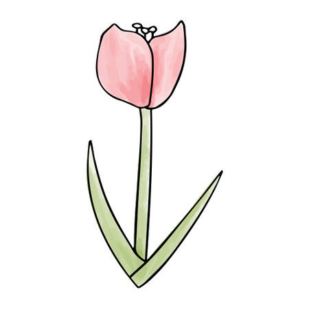 Flower watercolor doodle element, vector illustration.のイラスト素材
