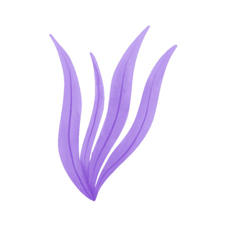 Watercolour vector illustration of a seaweed in childish style.のイラスト素材