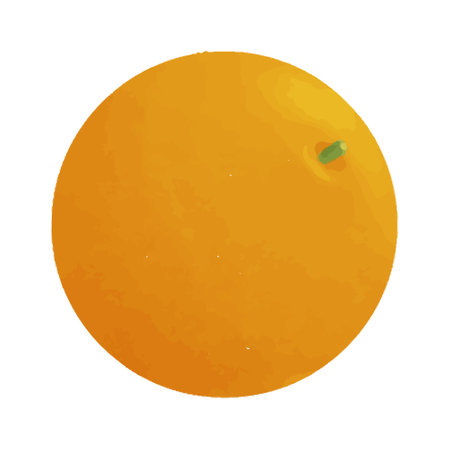 Watercolor vector illustration of orange in childish style.のイラスト素材