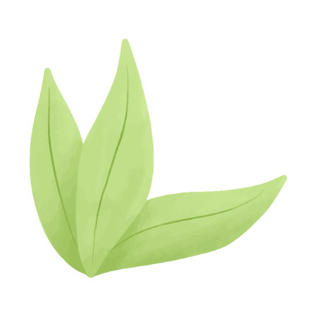 Watercolor vector illustration of leaf in childish style.のイラスト素材