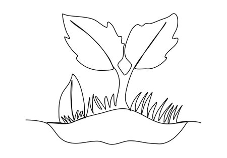 Plant, one line drawing vector illustration.のイラスト素材