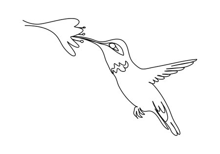 Hummingbird, one line drawing vector illustration.のイラスト素材