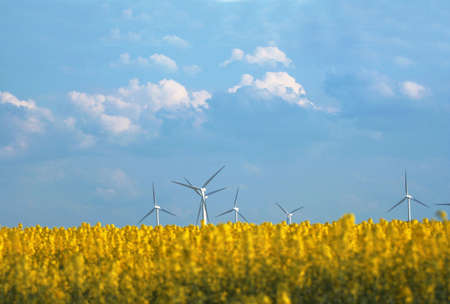 windmillsの写真素材