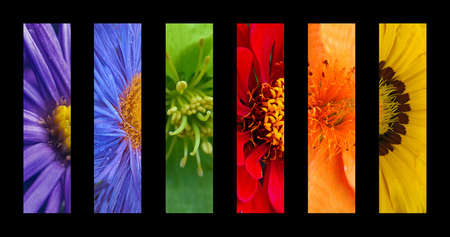 multi-colored rainbowの写真素材