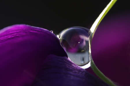drop is hugの写真素材