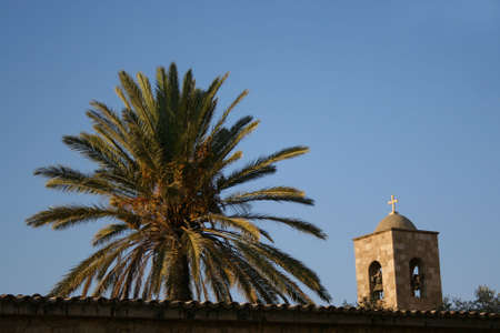 tower nad palmの写真素材