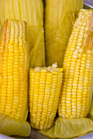 Corn Boilの写真素材