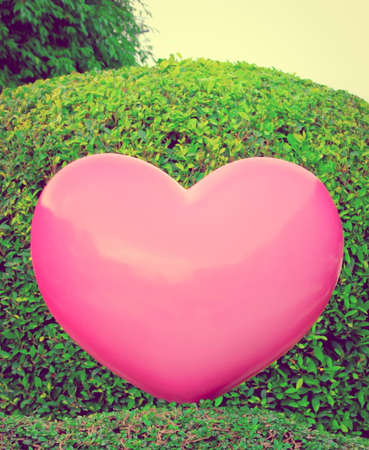 Retro image - Abstract Love Concept , Big pink heart on garden  の写真素材
