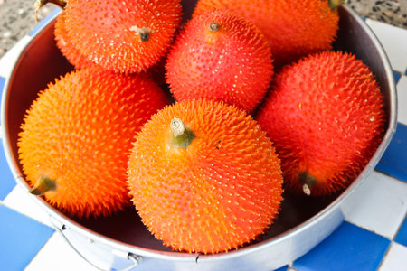 Gac fruit or Baby Jackfruit, Cochinchin Gourd, Spiny Bitter Gourd, Sweet Gourdの写真素材