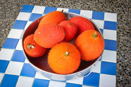 Gac fruit or Baby Jackfruit, Cochinchin Gourd, Spiny Bitter Gourd, Sweet Gourdの写真素材