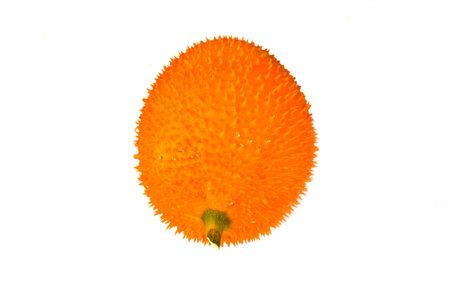 Gac fruit or Baby Jackfruit, Cochinchin Gourd, Spiny Bitter Gourd, Sweet Gourd on White backgroundの写真素材